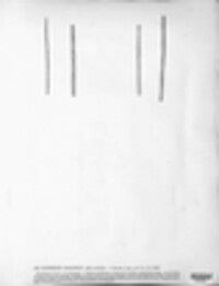 Lophodermium caricinum image